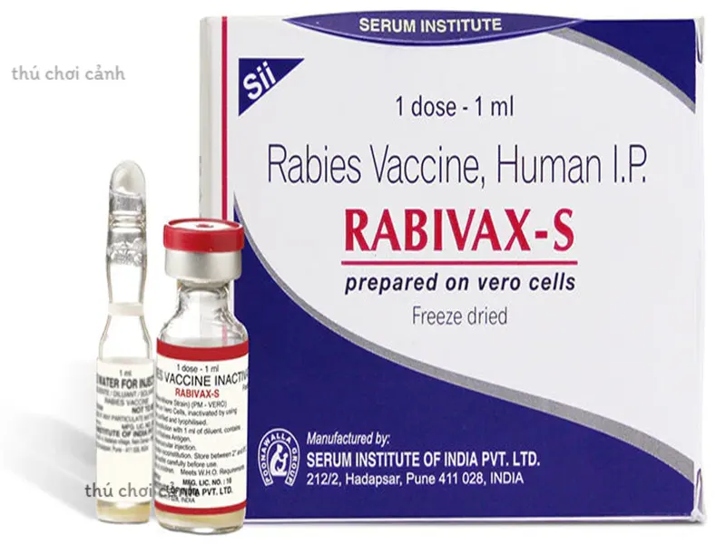 thuốc vắc xin phòng dại viral-ind-rabivaxs 