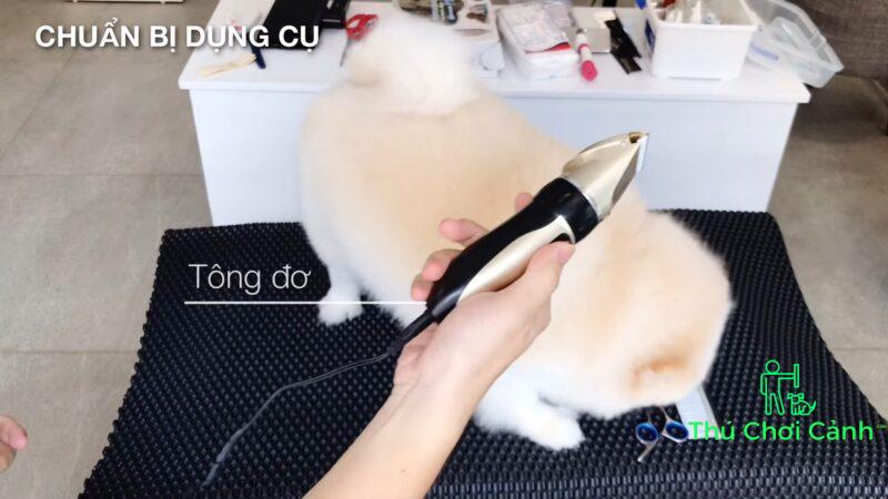 Meo cat tia long cho tai nha sieu de ai cung lam duoc Huan luyen co ban Bossdog 1 25 screenshot